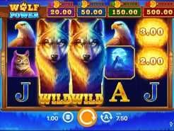 Wolf Power: Hold and Win